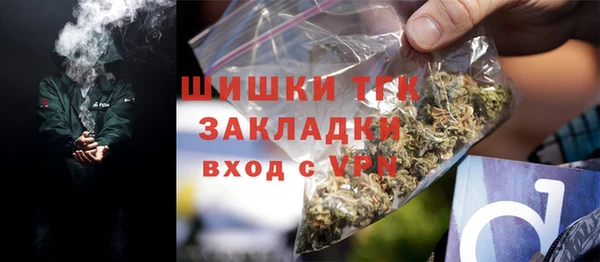 индика Балахна