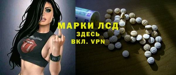 индика Балахна