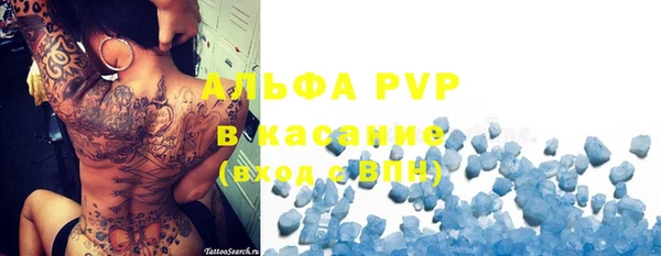 индика Армянск