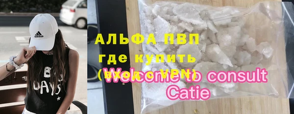 индика Балахна