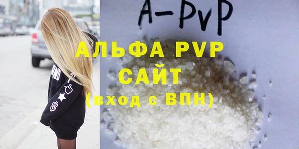 индика Балахна