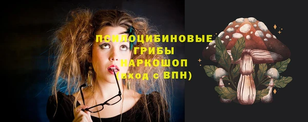 индика Балахна