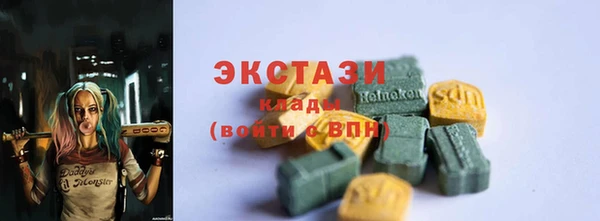 индика Армянск