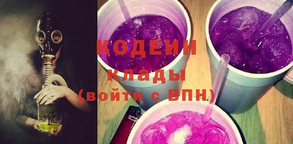 индика Балахна
