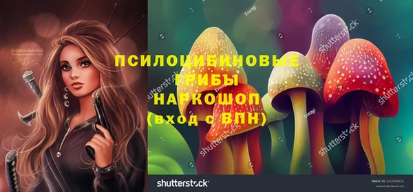 мескалин Арсеньев