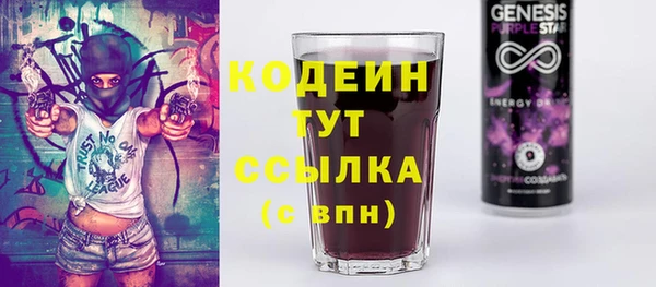 индика Армянск