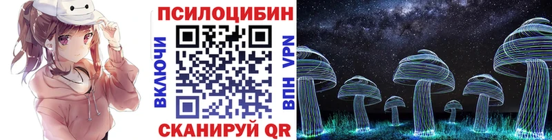 это как зайти  Коломна  Псилоцибиновые грибы Cubensis 